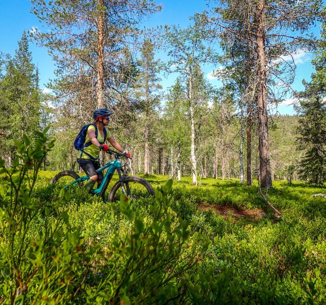 Maastopyöräily Ylläs